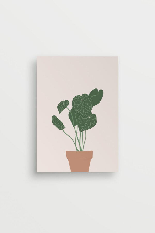 Minimalist Anthurium Portrait Framed Soil and Vine