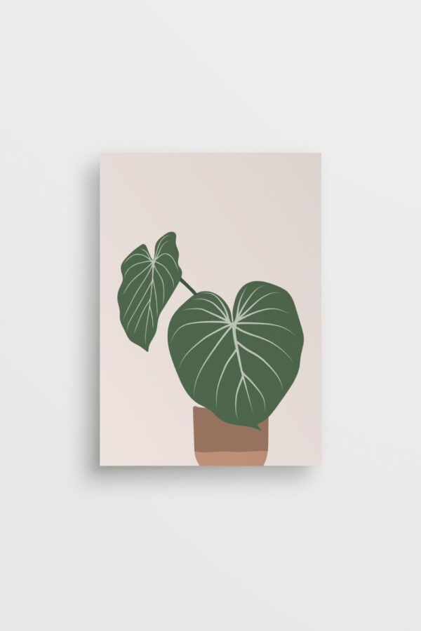 Minimalist Philodendron Portrait Soil and Vine