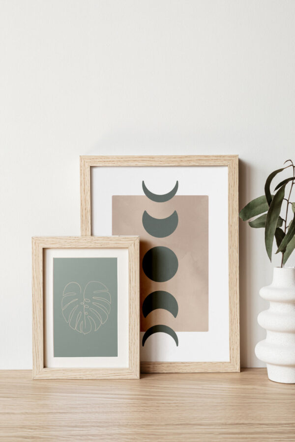 Monstera A Sage Moon Set Framed Soil and Vine