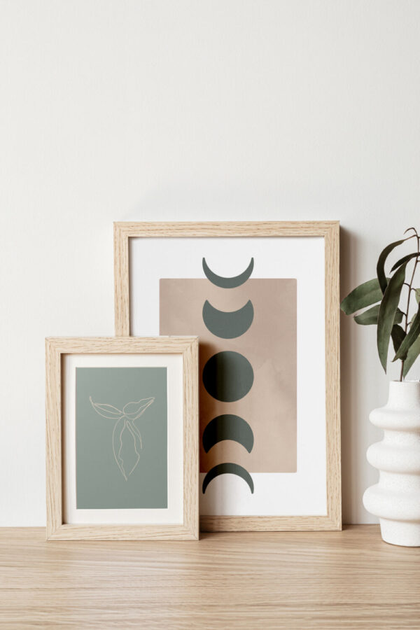 Syngonium Sage Moon Set Framed Soil and Vine