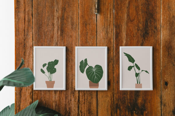 Minimalist Plant Portrait Bundle Framed Wall Soil and Vine